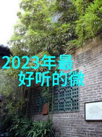 無字情書