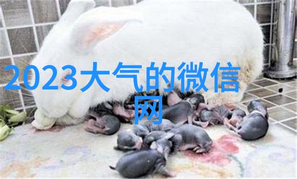 浅酌低唱